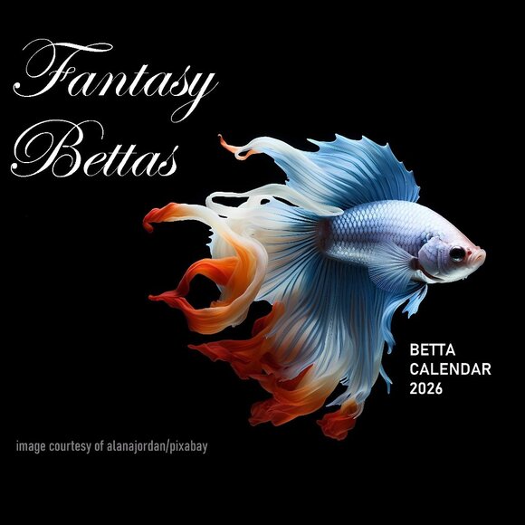 Betta Fish Calendar 2026 Betta Fish Pictures Siamese Fighting Fish Art Calendar - Picture 1 of 5